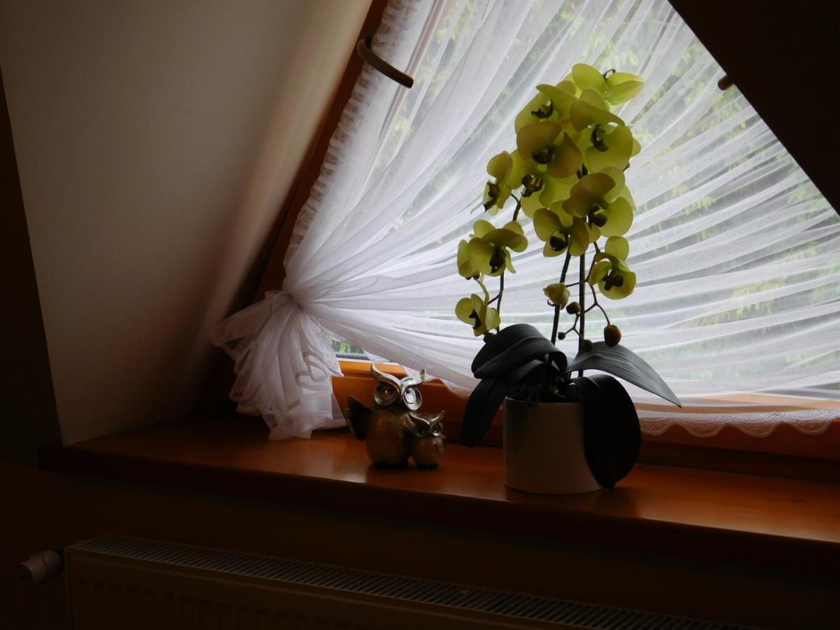 Apartament W Rowni Chocholow Buitenkant foto