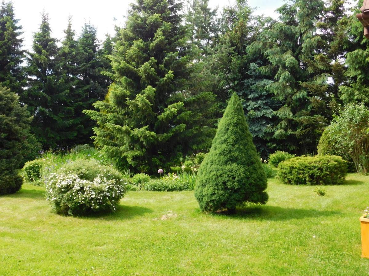 Apartament W Rowni Chocholow Buitenkant foto