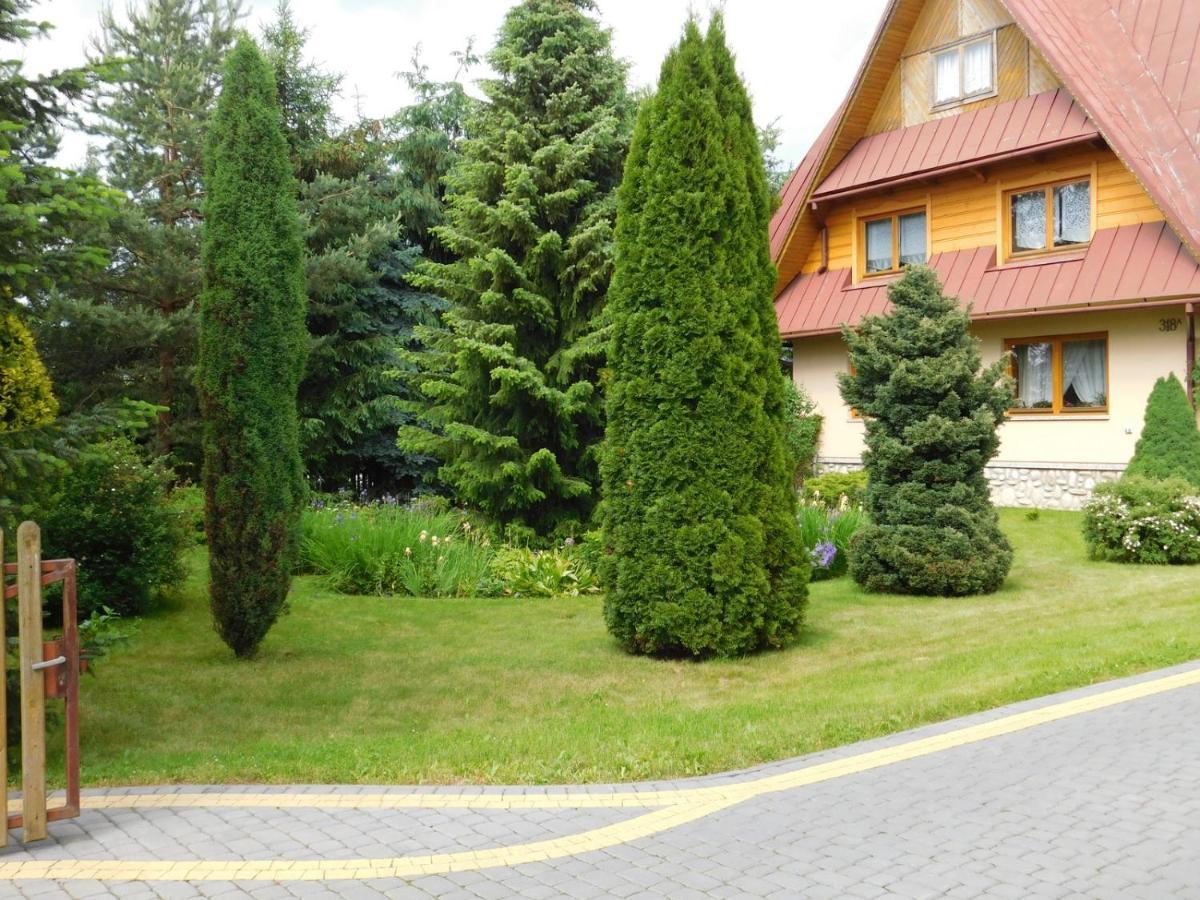 Apartament W Rowni Chocholow Buitenkant foto